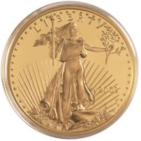 2003-W 1 oz Proof American Gold Eagle Coin (Box + CoA)