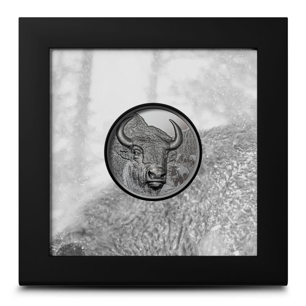 モンタージュ1（2025） 2025 Mongolia Woodland Spirits Otter 1 oz Silver Proof Coin