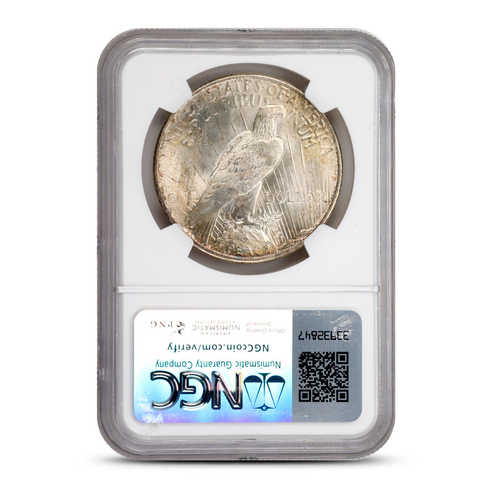 1925 Peace Silver Dollar Coin NGC MS67 l JM Bullion™