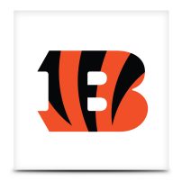 NFL Cincinnati Bengals