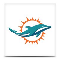 NFL Miami Dolphins