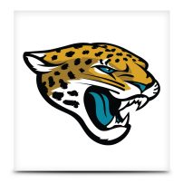 NFL Jacksonville Jaguars