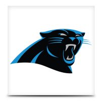 NFL Carolina Panthers